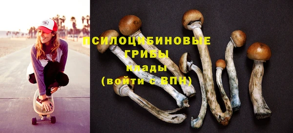 не бодяженный Верея