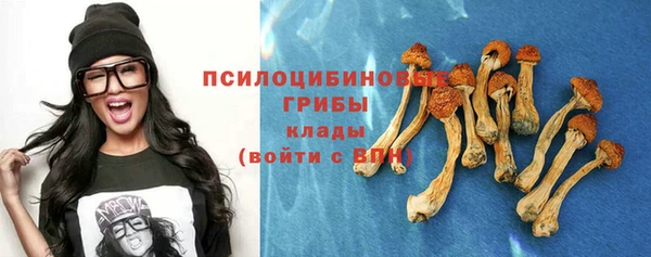 стафф Вязьма