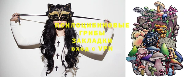 стафф Вязьма
